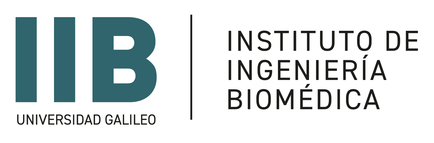 Logo IIB